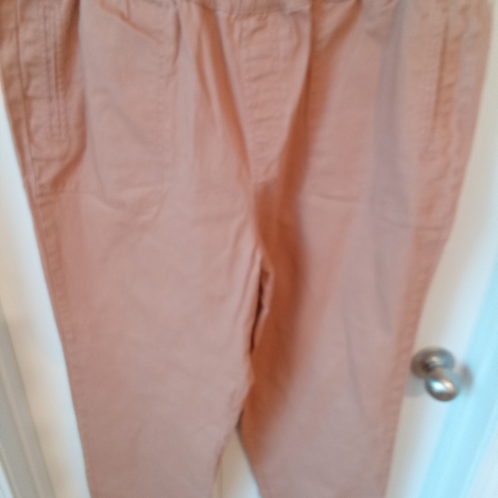 Cato Plus Size 18/20 Rust Colored Elastic Waistband Pull-on Casual Pants